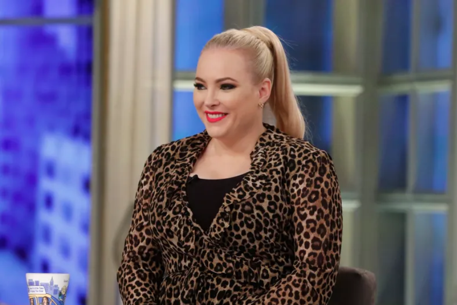 meghan mccain net worth